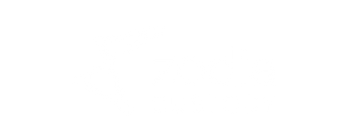Zodia Custody logo